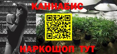 спиды Заводоуковск