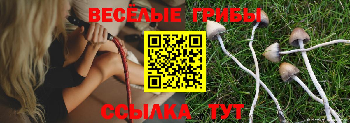 Псилоцибиновые грибы прущие грибы  Вход с VPN  Магадан 