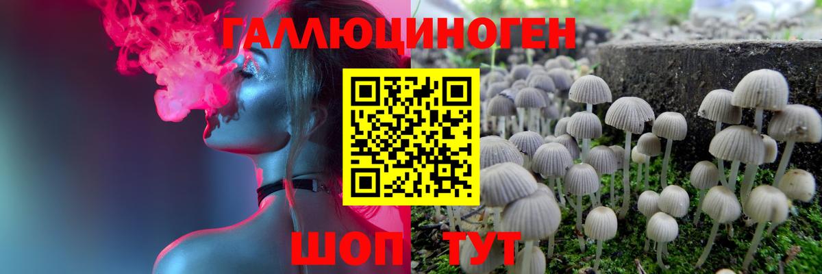 Псилоцибиновые грибы мицелий  Магадан  Псилоцибиновые грибы Magic Shrooms 