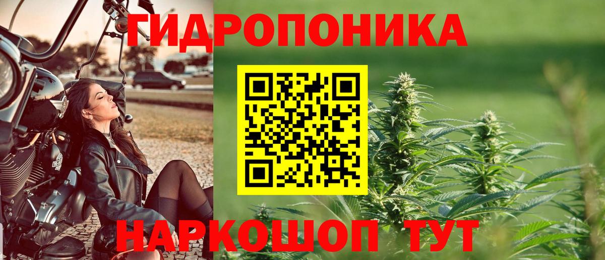 Шишки марихуана VHQ  Конопля гибрид  Каннабис сатива  Магадан  Вход с VPN  Марихуана Amnesia 