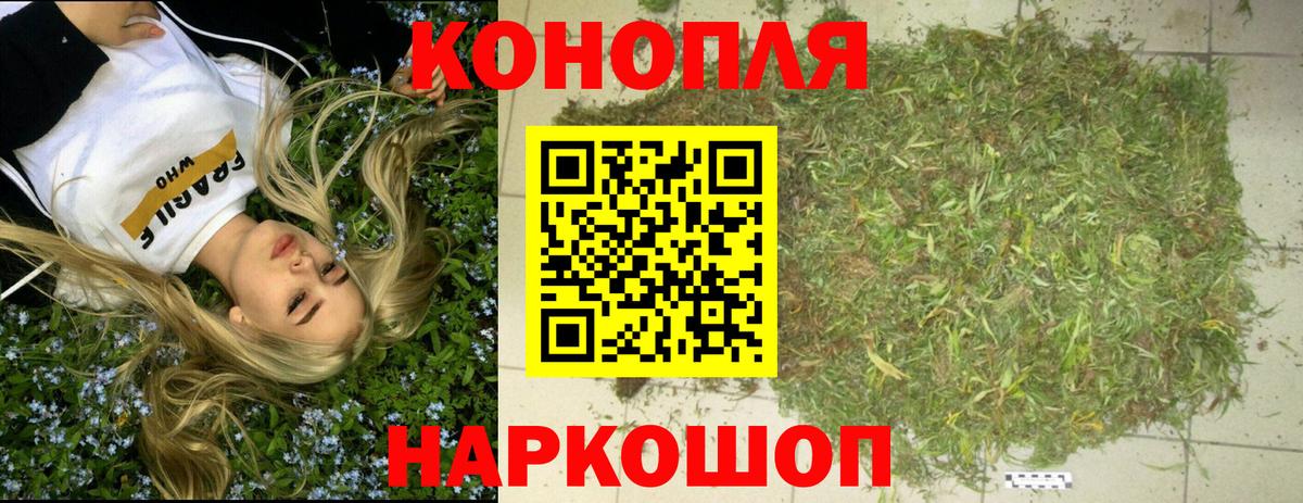 Канабис планчик  Канабис Ganja  Магадан 